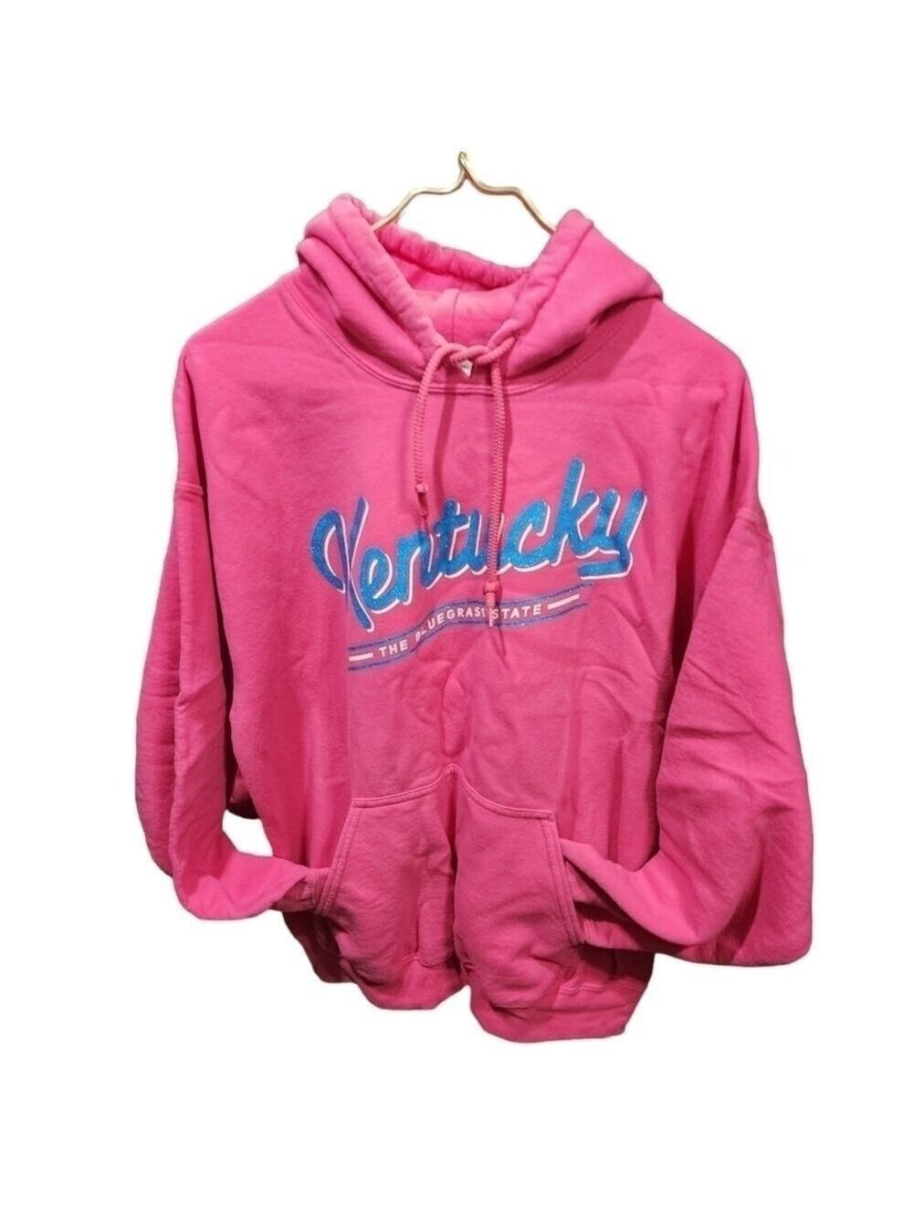 Gildan Heavy blend sz L Pink Kentucky Bluegrass state blue glitter hoodie